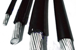 1646335768572511.png image.png
